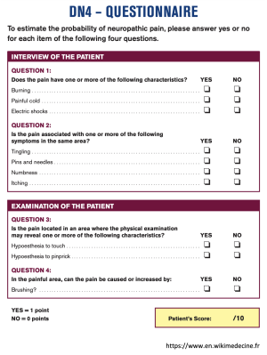 DN4 Questionnaire