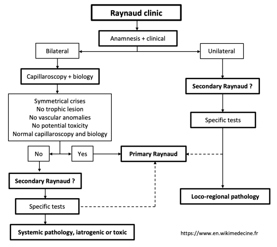 Raynaud syndrome - diagnostic